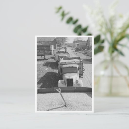 Ladingen van schelpdieren briefkaart (Staand voorkant)