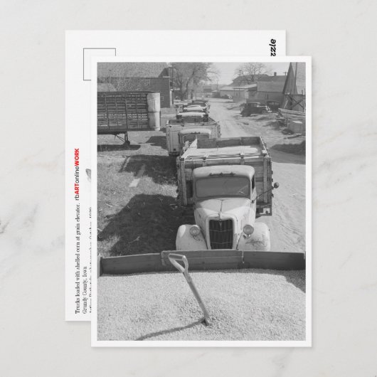 Ladingen van schelpdieren briefkaart (Voorkant / Achterkant)