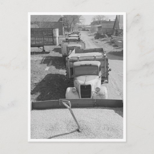 Ladingen van schelpdieren briefkaart (Voorkant)