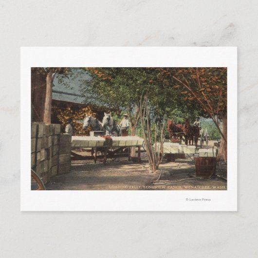 Ladingsfruit in Longview Ranch Briefkaart (Voorkant)