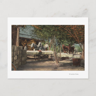 Ladingsfruit in Longview Ranch Briefkaart