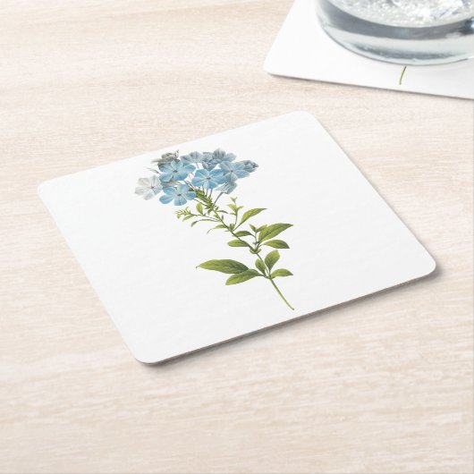 Ladwort (Plumbago caerulea) van Redouté Kartonnen Onderzetters (Schuin)