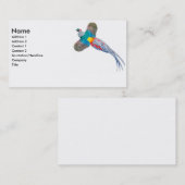 Lady Amherst Pheasant Visitekaartje (Voorkant / Achterkant)