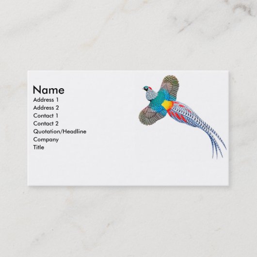 Lady Amherst Pheasant Visitekaartje (Voorkant)