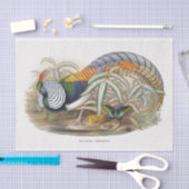 Lady Amherst's fazant-ontvlechting Tissuepapier (Craft)