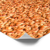 Lady and Lion Poster (Hoek)