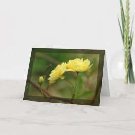 Lady Banks Rosea Duo Kaart