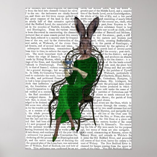 Lady Bella Rabbit met Tea Poster (Voorkant)