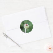 Lady Bird Stickers (Envelop)