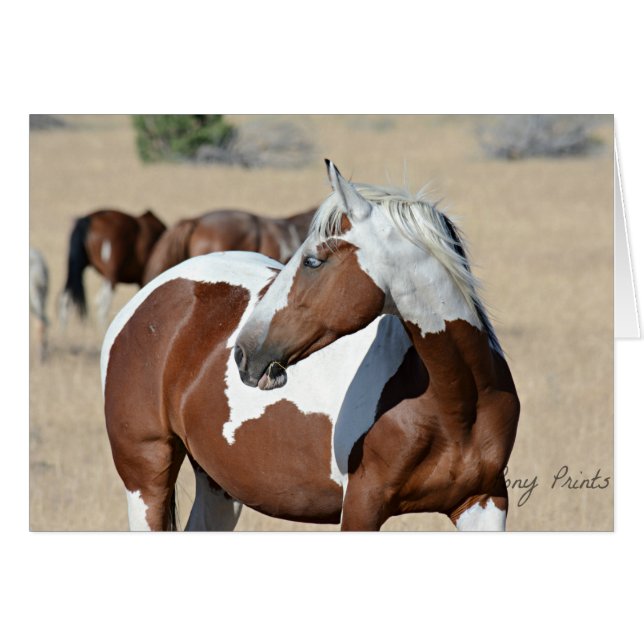 Lady Bravehartkaart (Voorkant Horizontaal)