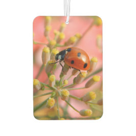 Lady Bug Auto Luchtverfrisser