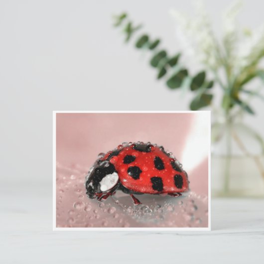 Lady Bug Briefkaart (Staand voorkant)