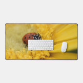 Lady bug bureaumat (Keyboard & Muis)
