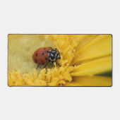 Lady bug bureaumat (Voorkant)