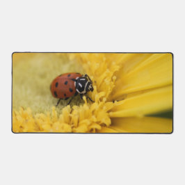 Lady bug bureaumat