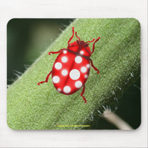 Lady Bug-cadeautjes voor bugglovers en tuinmannen Muismat