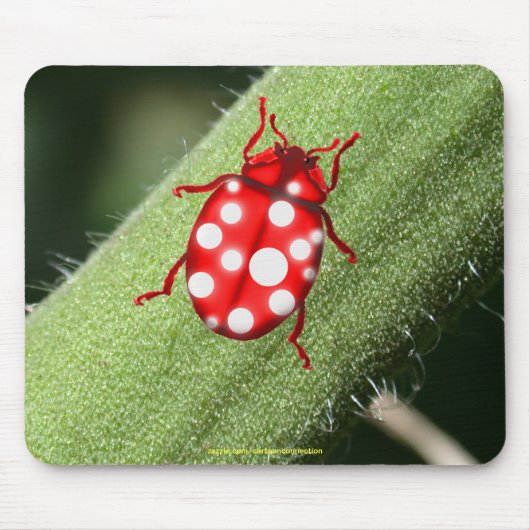 Lady Bug-cadeautjes voor bugglovers en tuinmannen Muismat (Voorkant)