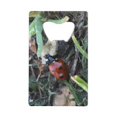 Lady Bug Creditkaart Flessenopener (Voorkant)