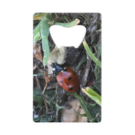 Lady Bug Creditkaart Flessenopener