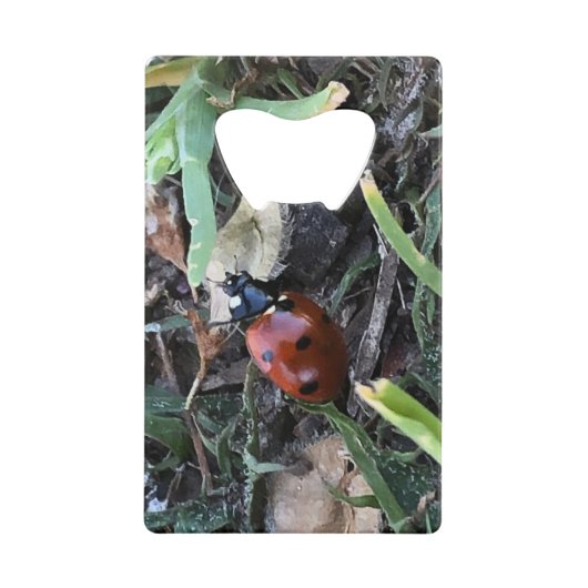 Lady Bug Creditkaart Flessenopener (Voorkant)