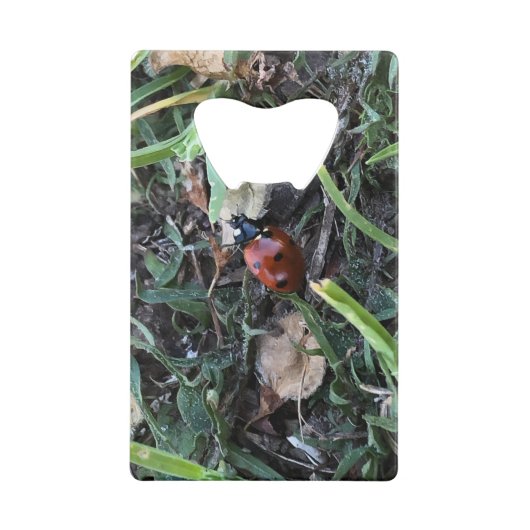 Lady Bug Creditkaart Flessenopener (Achterkant)