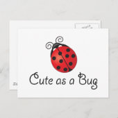 Lady Bug - Cute as a Bug Briefkaart (Voorkant / Achterkant)