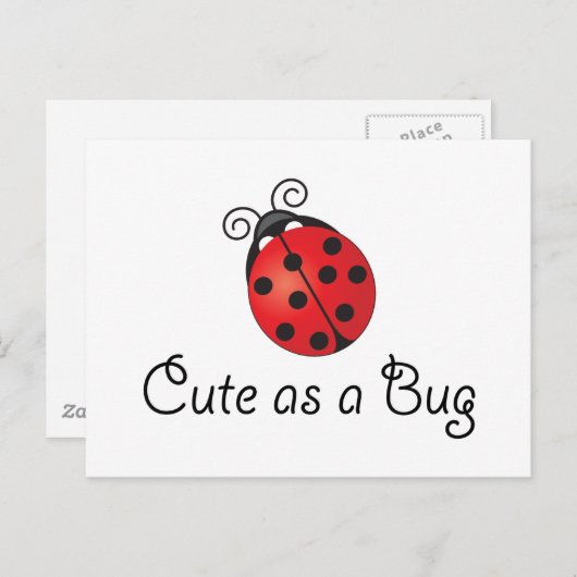 Lady Bug - Cute as a Bug Briefkaart (Voorkant / Achterkant)