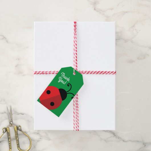 Lady Bug Cute Kids Birthday Party Cadeaulabel (Met Touw)