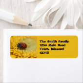 Lady bug etiket (Insitu)