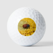 Lady bug golfballen (Voorkant)