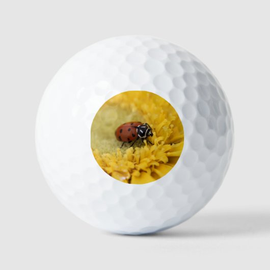Lady bug golfballen (Voorkant)