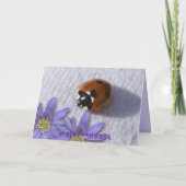 Lady bug groeten kaart (Achterkant)