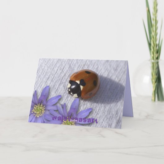 Lady bug groeten kaart (Achterkant)