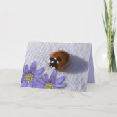 Lady bug groeten kaart (Voorkant)