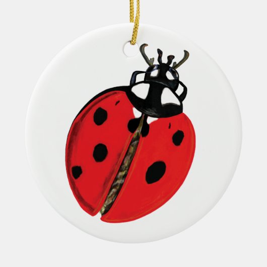 Lady Bug Illustratie Keramisch Ornament (Voorkant)