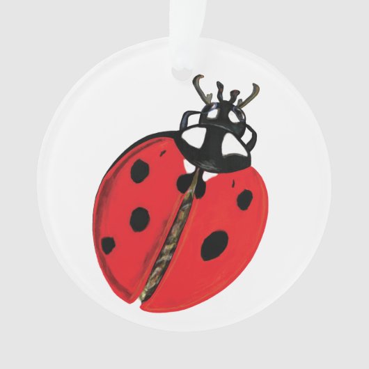 Lady Bug Illustratie Ornament (voorkant)