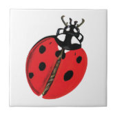 Lady Bug Illustratie Tegeltje (Voorkant)