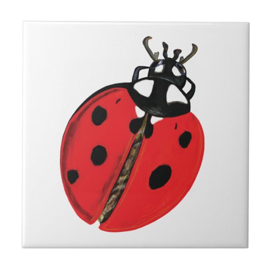 Lady Bug Illustratie Tegeltje (Voorkant)