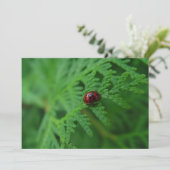 Lady Bug in een Zee van groen - plat Wenskaart Kaart (Staand voorkant)
