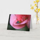Lady Bug Kaart (Gele Bloem)