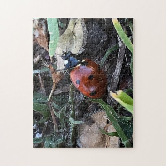 Lady Bug Legpuzzel (Verticaal)
