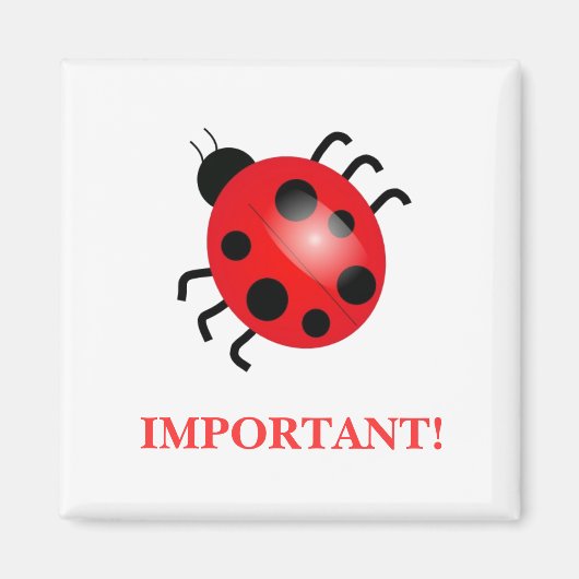 Lady Bug | Magneet (Voorkant)