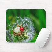 Lady Bug Mouse Mat Muismat (Met muis)