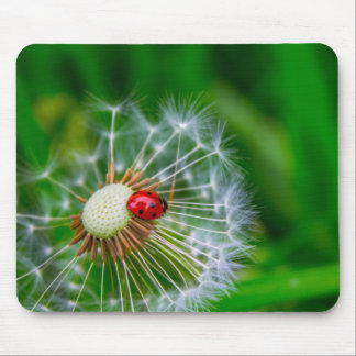 Lady Bug Mouse Mat Muismat