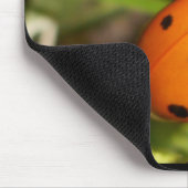 Lady Bug-Muismat Muismat (Hoek)