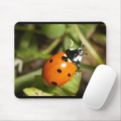 Lady Bug-Muismat Muismat (Met muis)