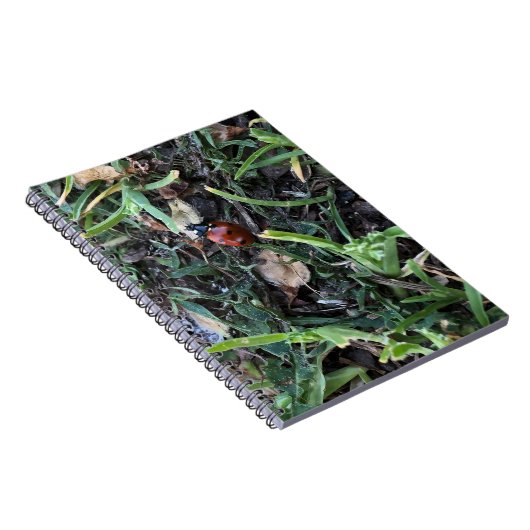 Lady Bug Notitieboek (Rechterzijde)