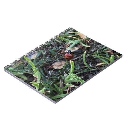 Lady Bug Notitieboek (Linkerzijde)