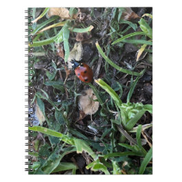 Lady Bug Notitieboek