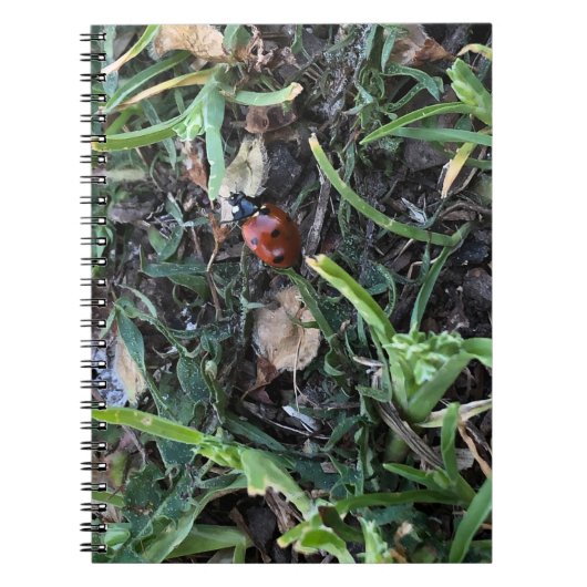 Lady Bug Notitieboek (Voorkant)
